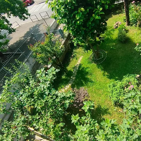 La Magnolia Venaria Reale