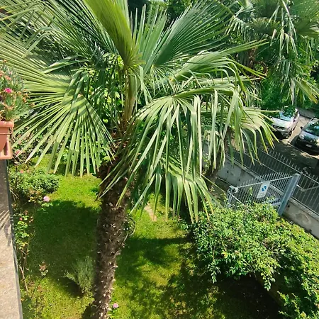 La Magnolia Venaria Reale